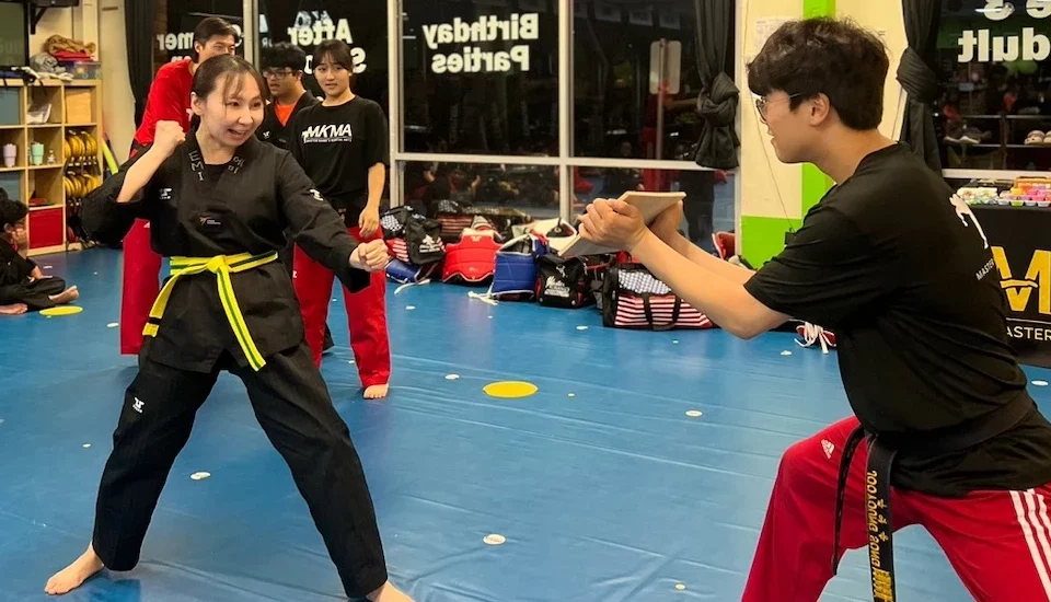 Martial Arts Board Breaking