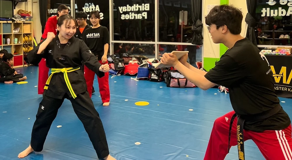 Martial Arts Board Breaking Class Master Kang's