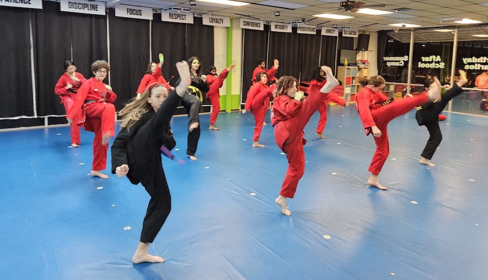Teen and Adult Martial Arts