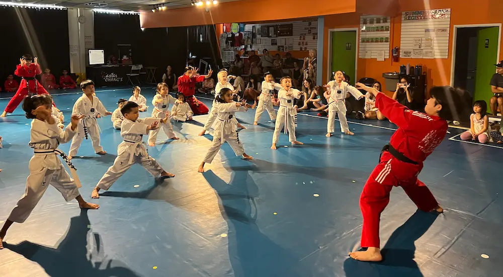 kids takewondo plano tx